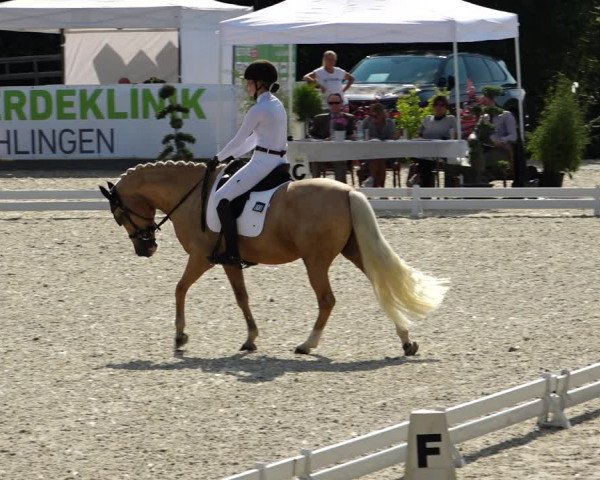 Reitturnier Leichlingen-Witzhelden 2021