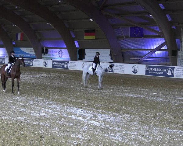 Reitturnier Essen-Stadtwald 2023