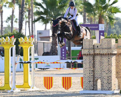 broodmare Brittany (Zangersheide riding horse, 2013, from Balou du Rouet)