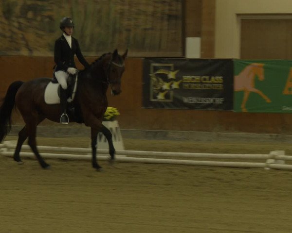 Reitturnier Weikersdorf am Steinfelde 2023