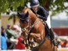 jumper Can do it 23 (Oldenburg show jumper, 2013, from C-Trenton Z)