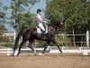 dressage horse Le Fabius (German Sport Horse, 2013, from Levkoi)