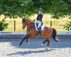 dressage horse Vis-à-vis CS (Rhinelander, 2011, from Vitalis)