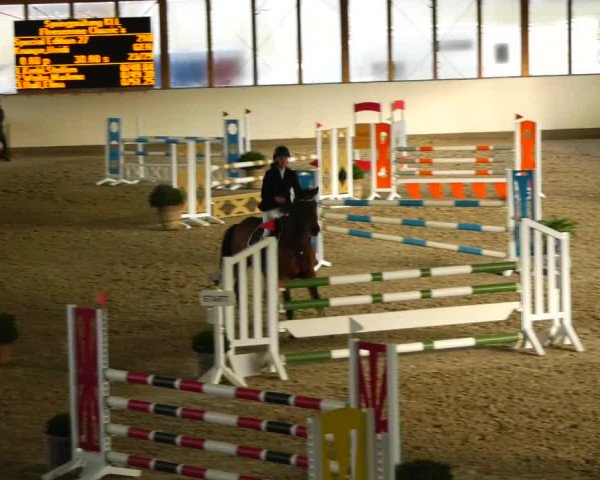 Reitturnier Fleesensee Classic´s 2023