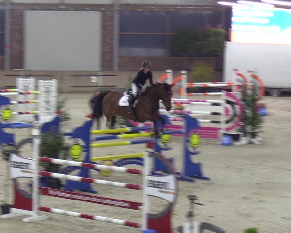 Reitturnier Heek-Nienborg 2023