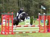 dressage horse Luke 202 (Irish Sport Horse, 2008)