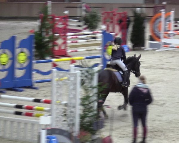 Reitturnier Heek-Nienborg 2023