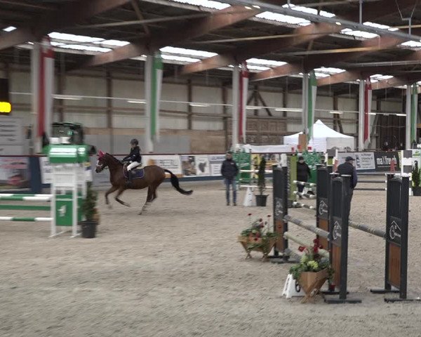 Reitturnier Oberriet 2023