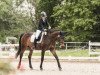 dressage horse La Guapa (Oldenburg, 2000, from Lanciano)