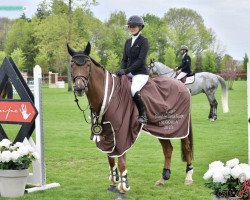 Springpferd Catz de Sulpice (Selle Français, 2012, von Tresor de Virton)