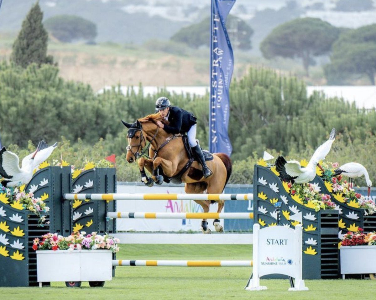 jumper Eireann Lvs Z (Zangersheide riding horse, 2014, from Emerald van 't Ruytershof)