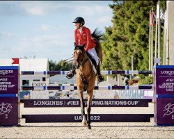 jumper Freestyle (Italian Warmblood, 2009, from Caretino)