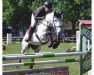 jumper Sky Walker 15 (Hanoverian, 2006, from Stalypso)