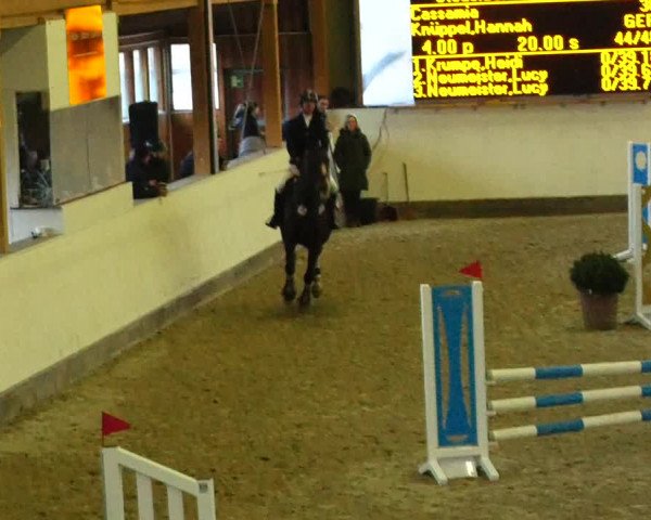 Reitturnier Fleesensee Classic´s 2023