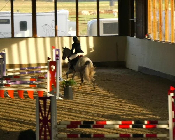 Reitturnier Fleesensee Classic´s 2023