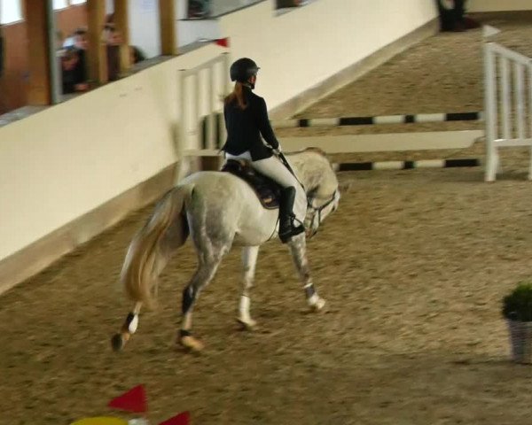 Reitturnier Fleesensee Classic´s 2023