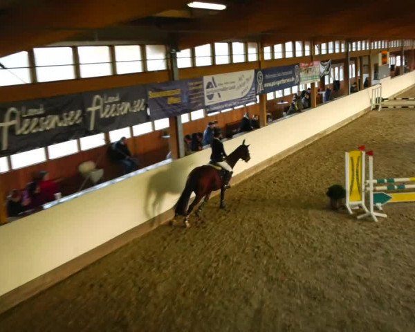 Reitturnier Fleesensee Classic´s 2023