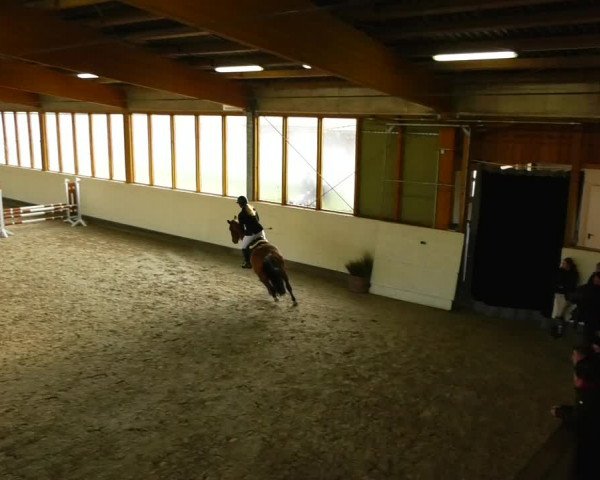 Reitturnier Fleesensee Classic´s 2023
