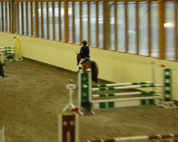 Reitturnier Fleesensee Classic´s 2023