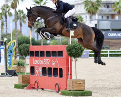 jumper Jean Couture (KWPN (Royal Dutch Sporthorse), 2014, from Arezzo VDL)