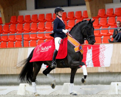 dressage horse Elysias (KWPN (Royal Dutch Sporthorse), 2009, from Jazz)