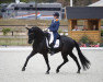 dressage horse Ego Tripper Texel (KWPN (Royal Dutch Sporthorse), 2009, from Jazz)