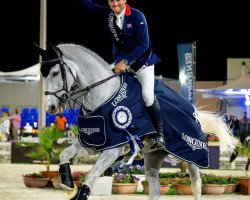 jumper Millfield Colette (Oldenburg show jumper, 2013, from Cornet Obolensky)