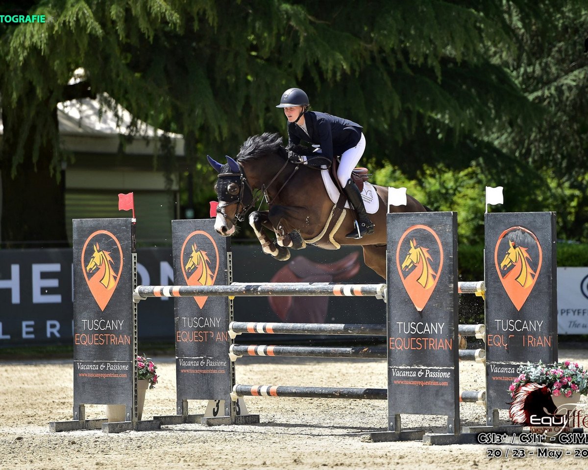 jumper Ollie Be Good (Belgian Warmblood, 2014)