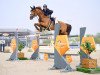 jumper Cindy R (Oldenburg show jumper, 2012, from Clarimo Ask)