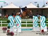 jumper Luigi van de Kornelishoeve (Belgian Warmblood, 2011, from Carabas van de Wateringhoeve)