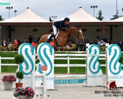 Springpferd Luigi van de Kornelishoeve (Belgisches Warmblut, 2011, von Carabas van de Wateringhoeve)