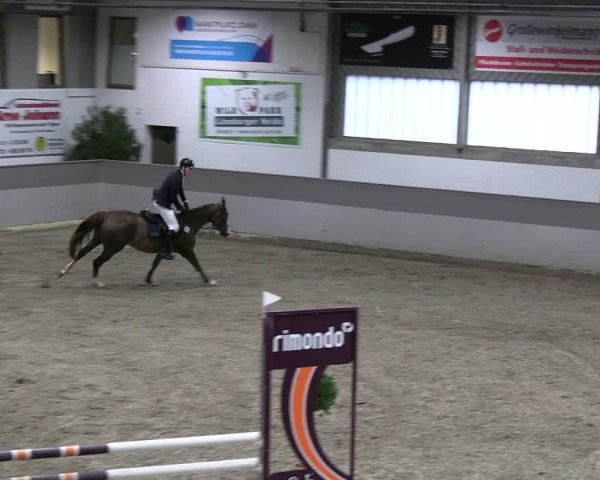 Reitturnier AZL Luhmühlen 2023
