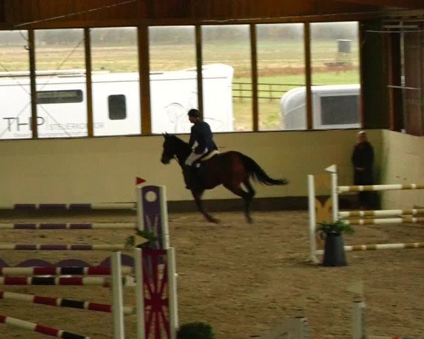Reitturnier Fleesensee Classic´s 2023