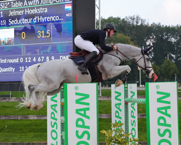 jumper Seducteur D'Hyrencourt Z (Zangersheide riding horse, 2014, from Hunters Scendro)