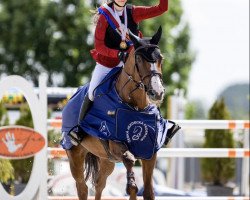 Springpferd Kalinka van 't Heike (Belgisches Warmblut, 2010, von Gold Fever van T Heike)