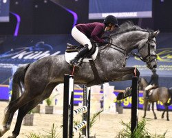 jumper Der Benni (Hanoverian, 2016, from Diacontinus)