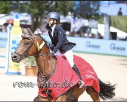 jumper Franz Ferdinand (German Riding Pony, 2007, from Der feine Lord AT)