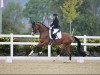 dressage horse Colour of my Life 3 (German Sport Horse, 2019, from Estobar NRW)