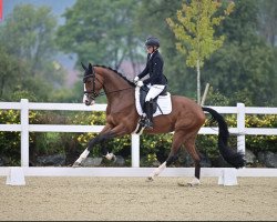 dressage horse Colour of my Life 3 (German Sport Horse, 2019, from Estobar NRW)