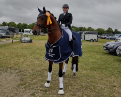 dressage horse Filius Bonacci H (Westphalian, 2010, from Filius Bedo)