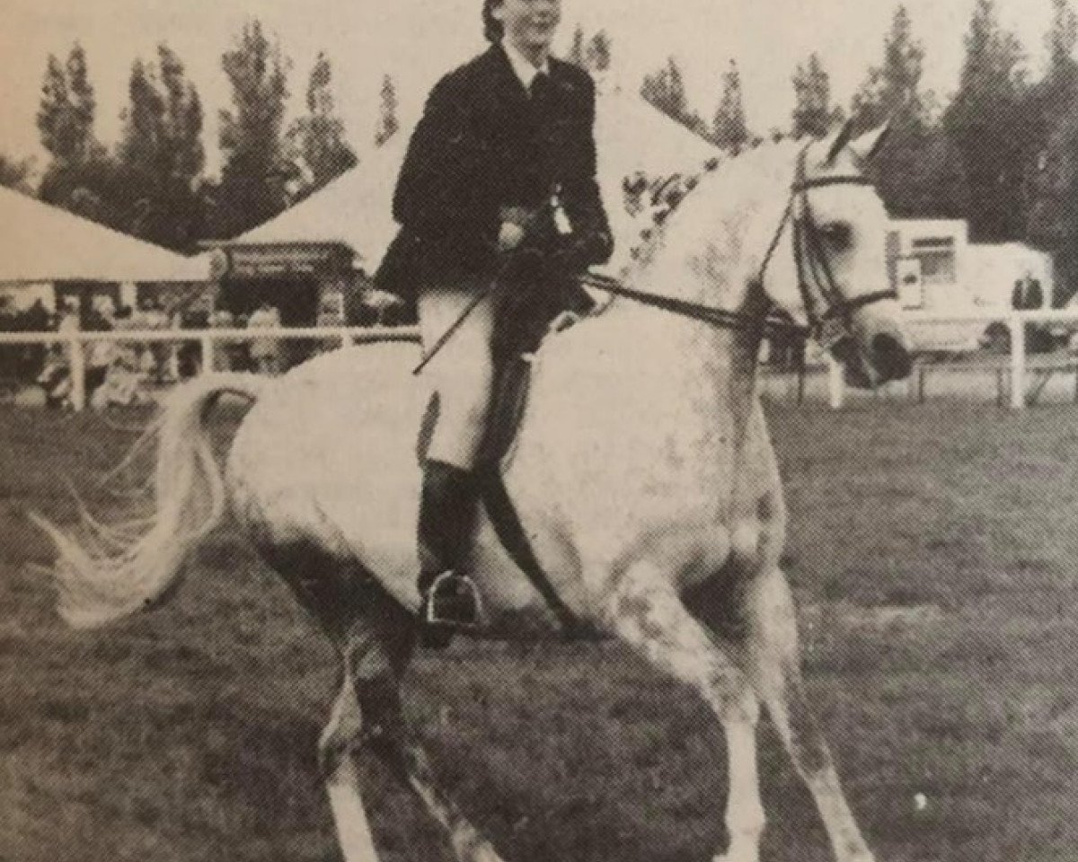 broodmare Cratfield Fairy Tale (British Riding Pony, 1974, from Desert Mist)