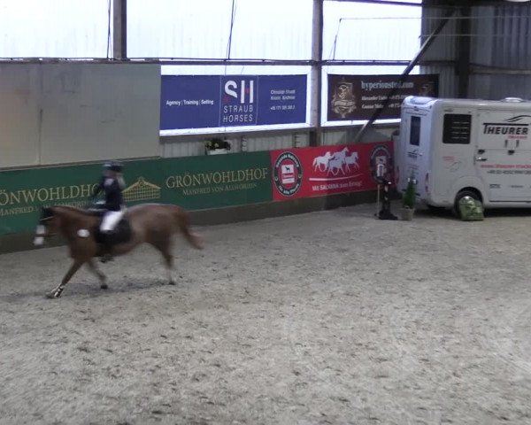 2. Nordic Jumping event Negernbötel 2023