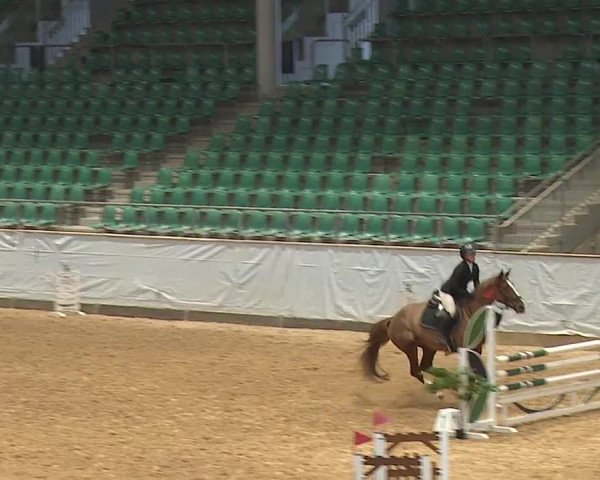 Reitturnier Kreuth/Opf. 2023