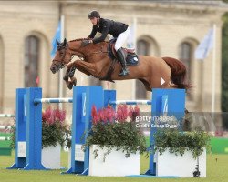 jumper Bulgarie D'Engandou (Selle Français, 2011, from Vargas de Ste Hermelle)