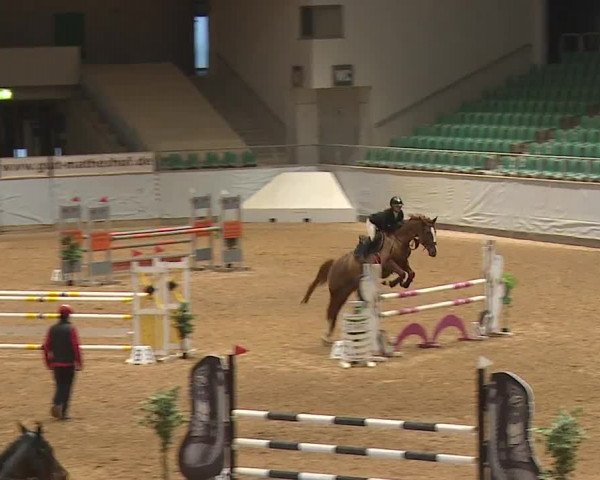 Reitturnier Kreuth/Opf. 2023