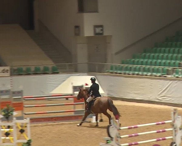 Reitturnier Kreuth/Opf. 2023