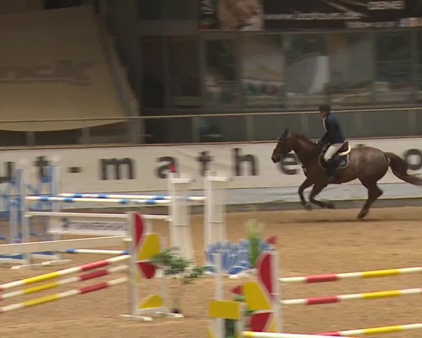 Reitturnier Kreuth/Opf. 2023