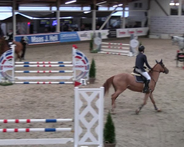 2. Nordic Jumping event Negernbötel 2023