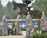 Springpferd Jumping Jack Zf (Kanadisches Warmblut, 2012, von Kannan)