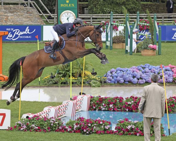 Springpferd Bary Louvo (Selle Français, 2011, von Toro Louvo)